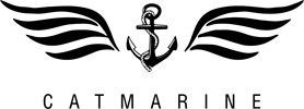 Лодки РИБ